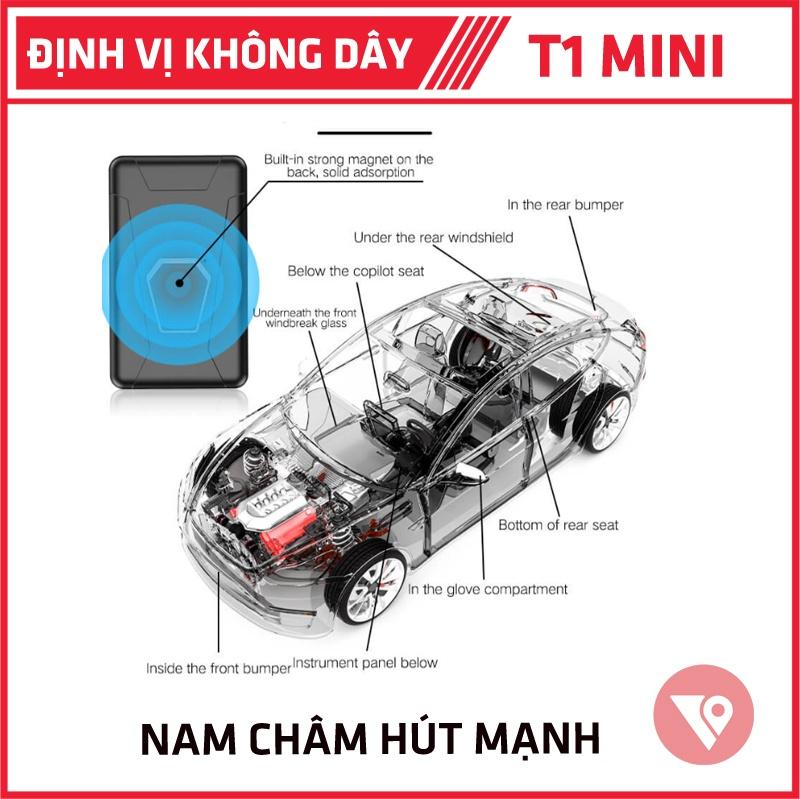 dinh vi t3